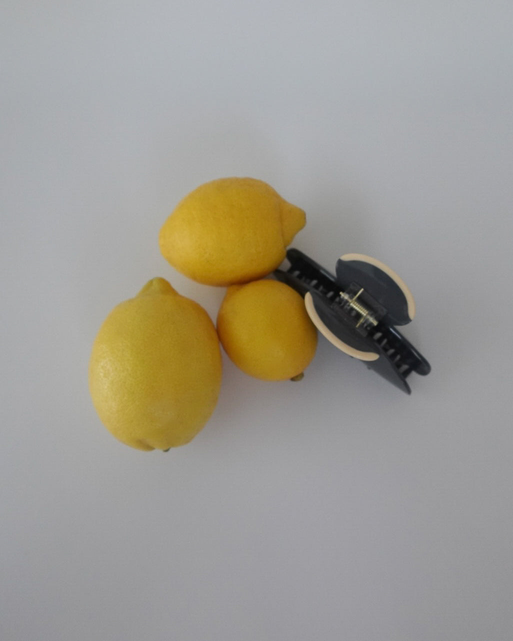 【予約受付中】ToUJI hair clip BROWN・GRAY 2set